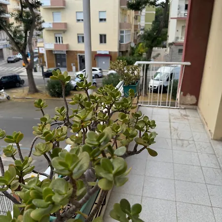 Benthos בית הארחה *